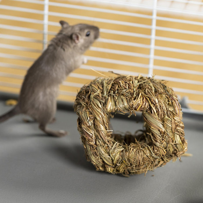 Prevue Pet Products Nature's Hideaway Grass Ball for Small Animals