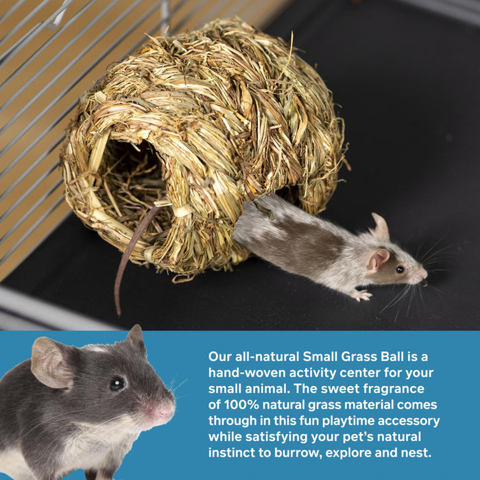 Prevue Pet Products Nature's Hideaway Grass Ball for Small Animals