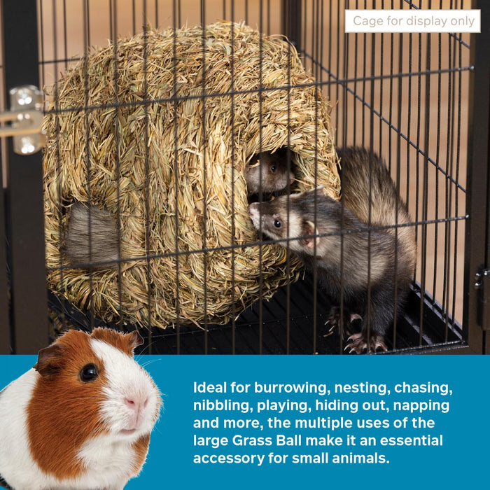 Prevue Pet Products Nature's Hideaway Grass Ball for Small Animals