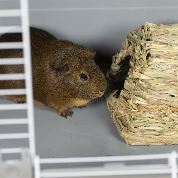 Prevue Pet Products Nature's Hideaway Grass Hut for Small Animals