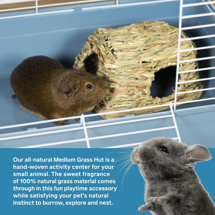 Prevue Pet Products Nature's Hideaway Grass Hut for Small Animals