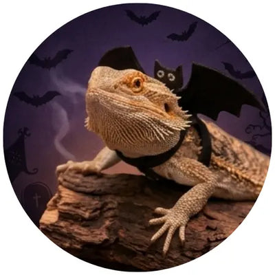 Reptile Halloween shop
