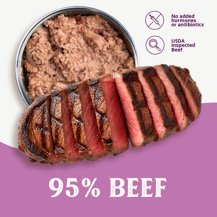 Health Extension Grain Free 95% Beef