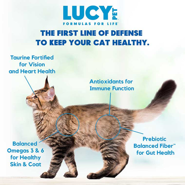 Lucy Pet Products Formulas for Life Dry Cat Food Salmon, Pumpkin & Quinoa 4lbs