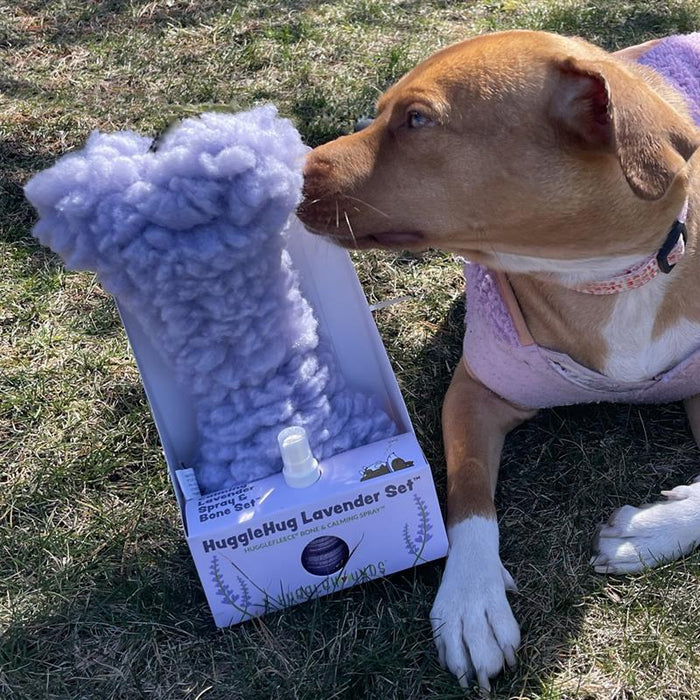 HuggleHounds HuggleHug™ Lavender Bone & 2oz Calming Spray Dog Toy Set
