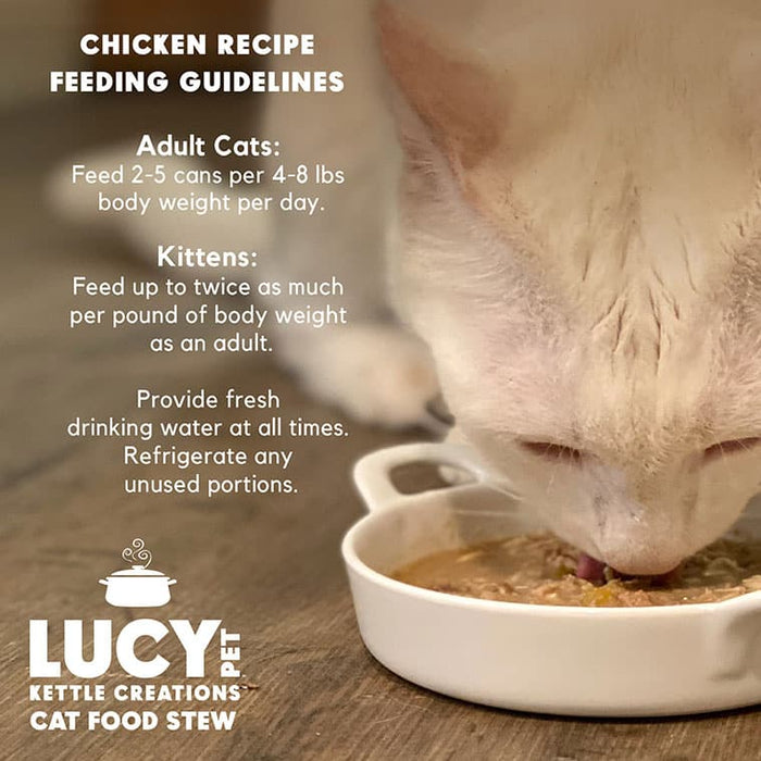 Lucy Pet Products Kettle Creations Adult Wet Cat Food Chicken 2.75oz (Pack of 12)