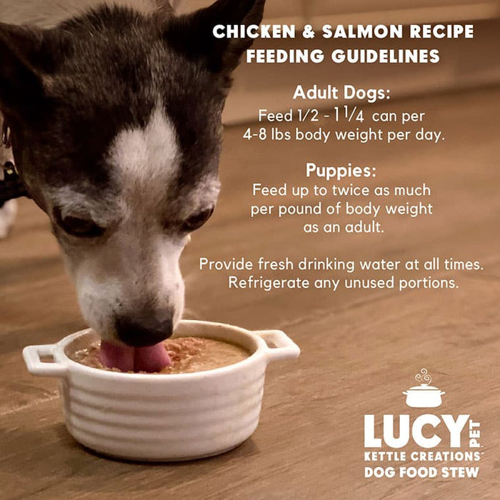 Lucy Pet Products Kettle Creations Chicken And Salmon In Gravy Dog Food Chicken & Salmon 12.5 Ounces (Pack of 12)