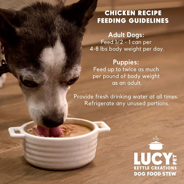 Lucy Pet Products Kettle Creations Chicken In Gravy Dog Food 12.5 Ounces (Pack of 12)
