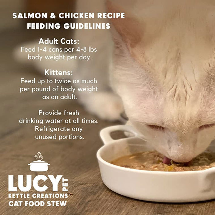 Lucy Pet Products Kettle Creations Adult Wet Cat Food Chicken & Salmon 2.75oz (Pack of 12)