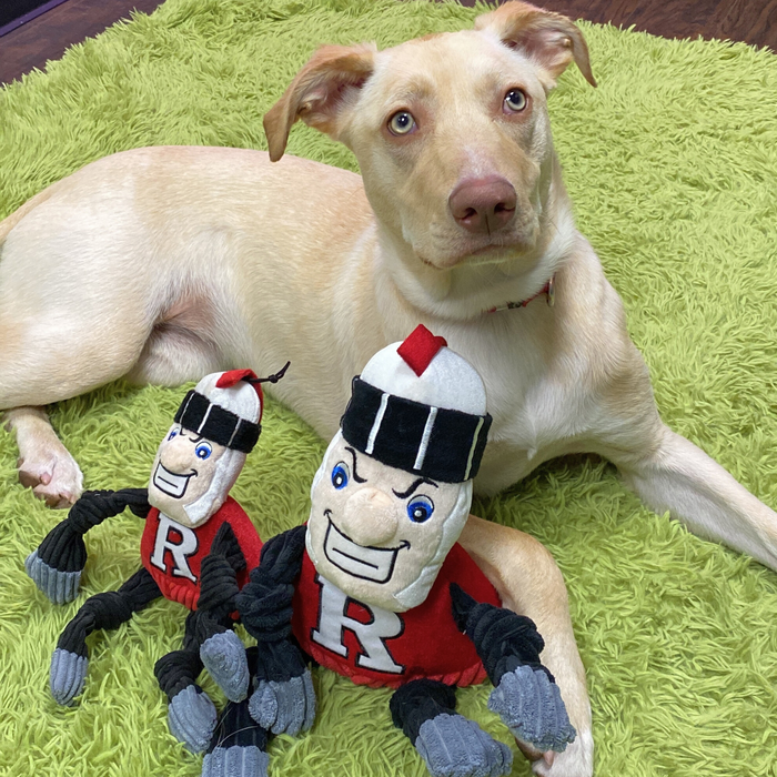 HuggleHounds NCAA Rutgers University, Scarlet Knight Knottie® Plush Dog Toy