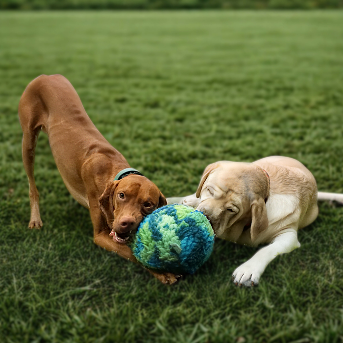 HuggleHounds HuggleSnuffles™ SnuffleSphere™ Puzzle Ball Dog Toy