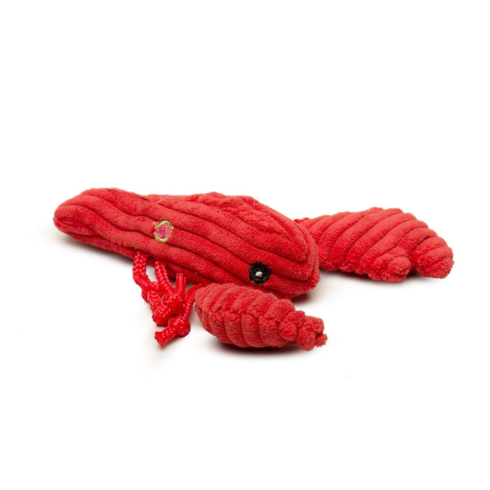 HuggleHounds Raw Bar Wee Huggles® Plush Dog Toys, (Pack of 3)