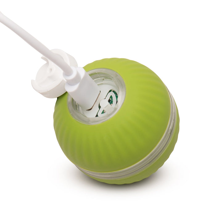 HuggleHounds HuggleKats® PlayKat® Interactive Cat Toy