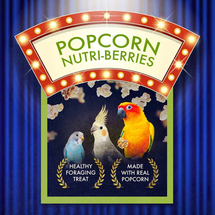 Lafeber Company Nutri-Berries Popcorn Cockatiel Treat 4oz
