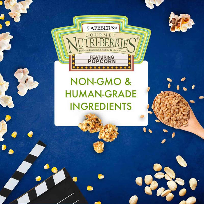 Lafeber Company Nutri-Berries Popcorn Cockatiel Treat 4oz