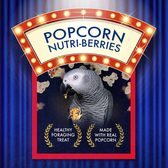 Lafeber Company Nutri-Berries Popcorn Parrot Treat 4oz