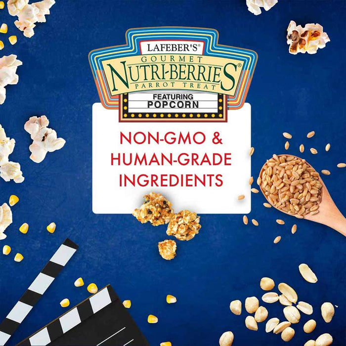 Lafeber Company Nutri-Berries Popcorn Parrot Treat 4oz