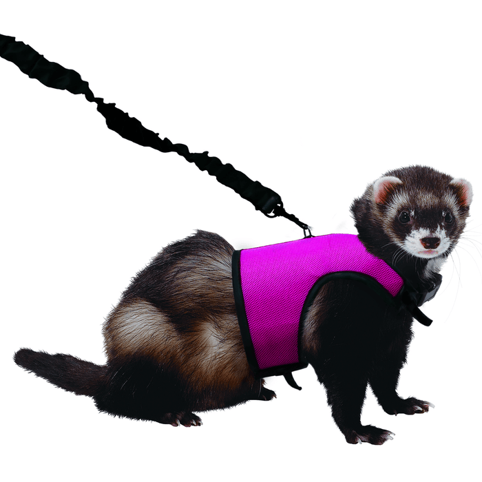 Kaytee Comfort Harness And Stretch Leash Medium