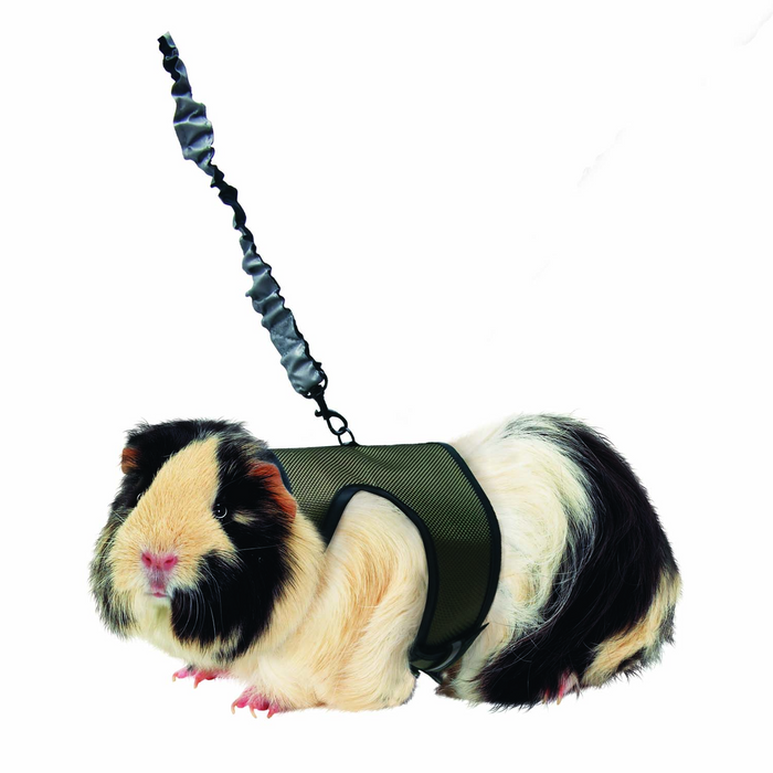 Kaytee Comfort Harness And Stretch Leash Large