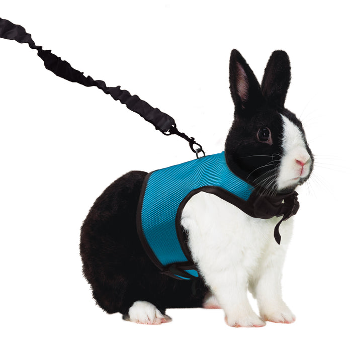 Kaytee Comfort Harness & Stretchy Leash Assorted Extra Large