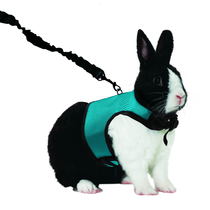 Kaytee Comfort Harness & Stretchy Leash Assorted Extra Large
