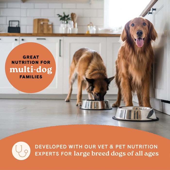 Canidae All Life Stages Large Breed Multi-Protein Recipie Dry Dog Food, Chicken, 40 lb