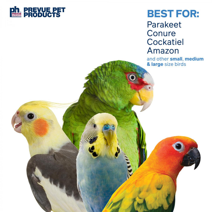 Prevue Pet Products Calypso Creations Club Bird Toy, Multi-Colored