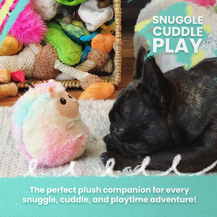 SnugArooz Pea and Carrot 2pk Plush Dog Toy