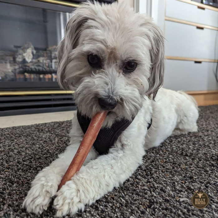 Bully Bunches 6 Inch Thick Bully Stick