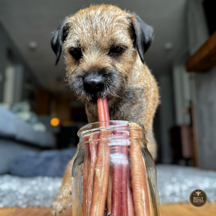 Bully Bunches 6 Inch Thick Bully Stick