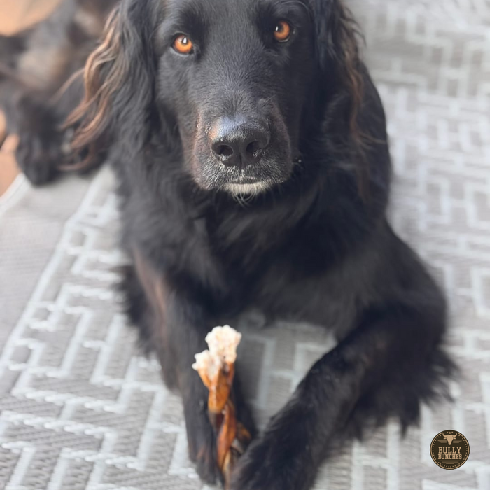 Bully Bunches 5-6 Inch Braided Collagen Stick