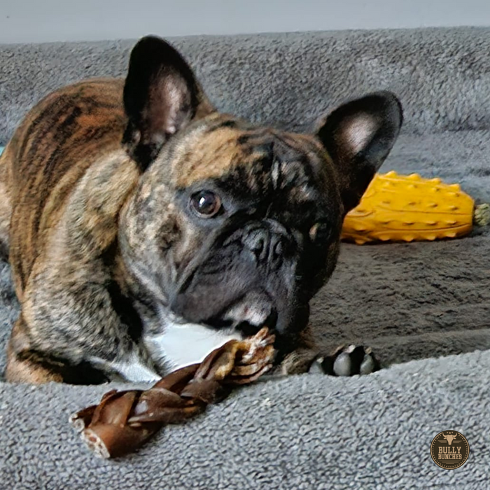 Bully Bunches 5-6 Inch Braided Collagen Stick