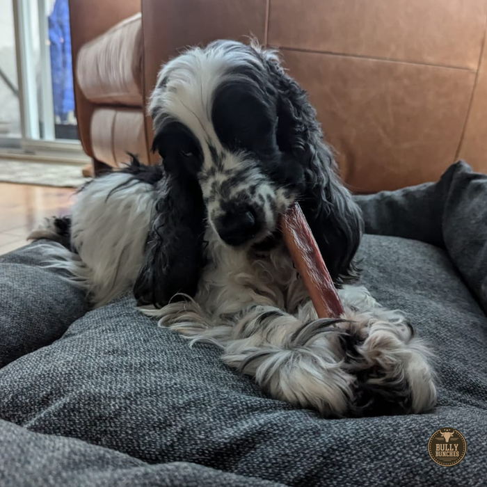 Bully Bunches 5-6 Inch Champion Chew