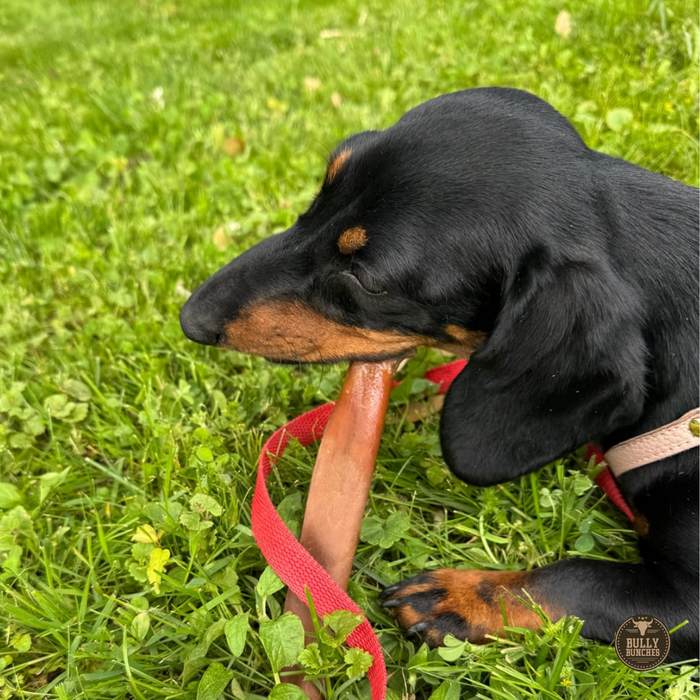 Bully Bunches 5-6 Inch Collagen Stick