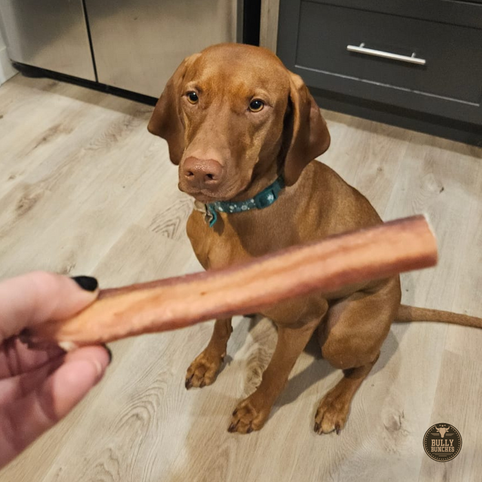 Bully Bunches 6 Inch Jumbo Bully Stick