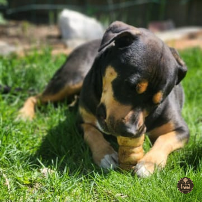 Bully Bunches 5-6 Inch Peanut Butter Cheek Roll