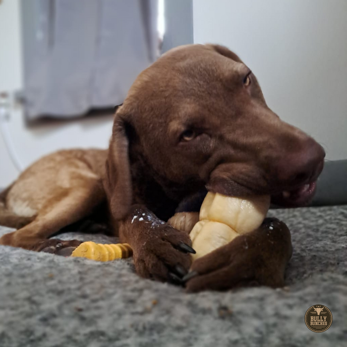 Bully Bunches 5-6 Inch Peanut Butter Cheek Roll