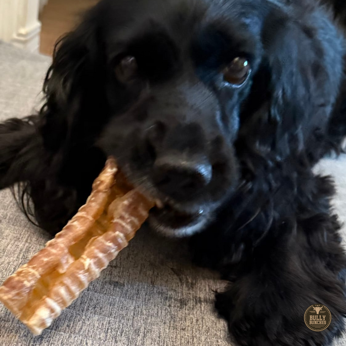 Bully Bunches 6 Inch Beef Trachea