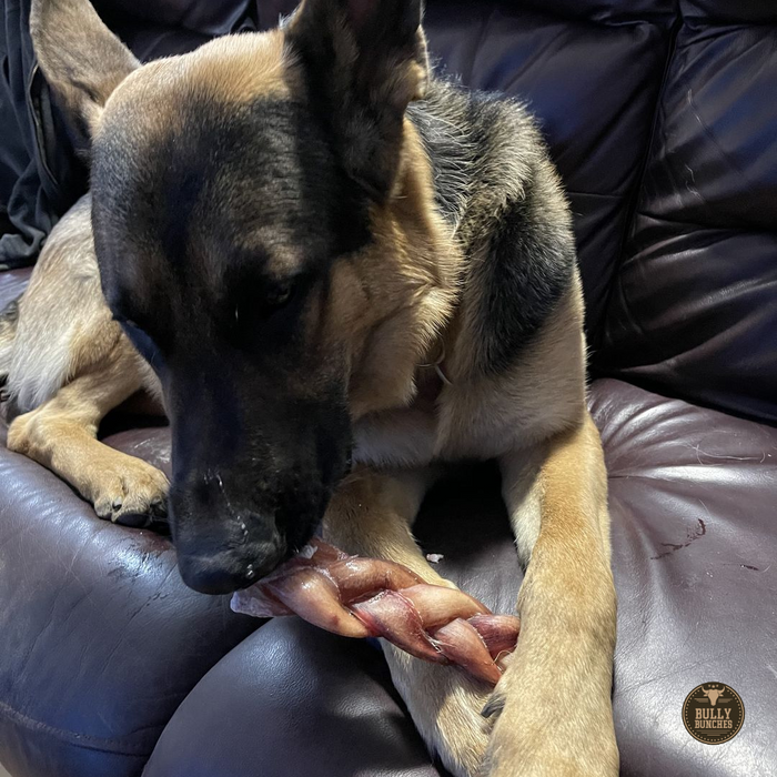 Bully Bunches 6 Inch Monster Braided Bully Stick