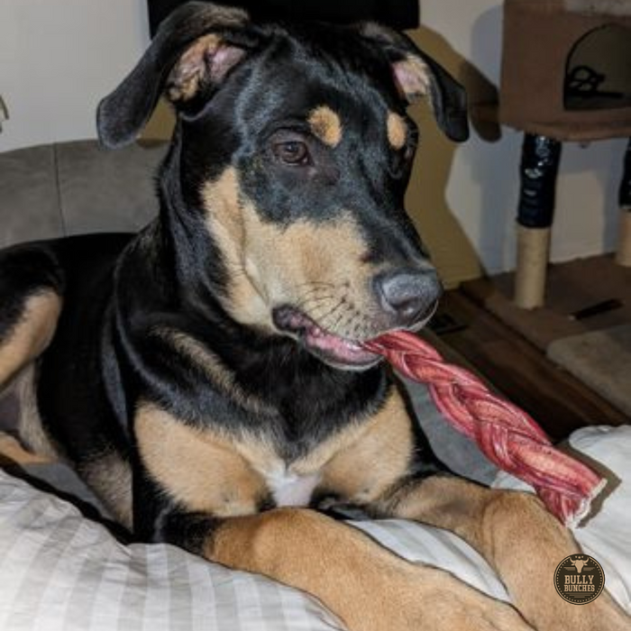 Bully Bunches 6 Inch Standard Braided Bully Stick