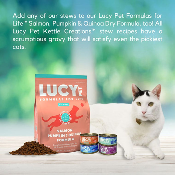 Lucy Pet Products Kettle Creations Adult Wet Cat Food Chicken 2.75oz (Pack of 12)