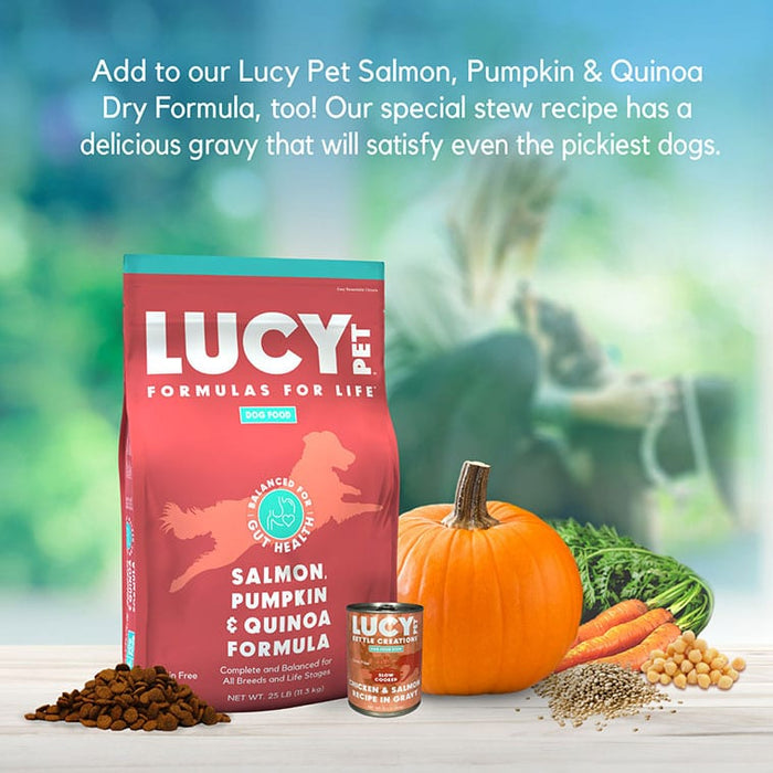 Lucy Pet Products Kettle Creations Chicken And Salmon In Gravy Dog Food Chicken & Salmon 12.5 Ounces (Pack of 12)