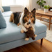 KONG Cozie Spunky Monkey Plush Dog Toy Brown MD - 4 - Image 6