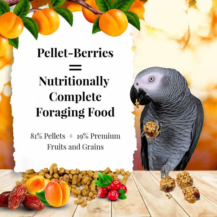 Lafeber Company Pellet-Berries Sunny Orchard Parrot Food 2.75lb