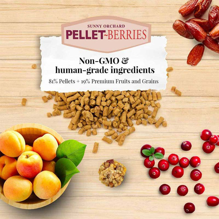 Lafeber Company Pellet-Berries Sunny Orchard Parrot Food 2.75lb