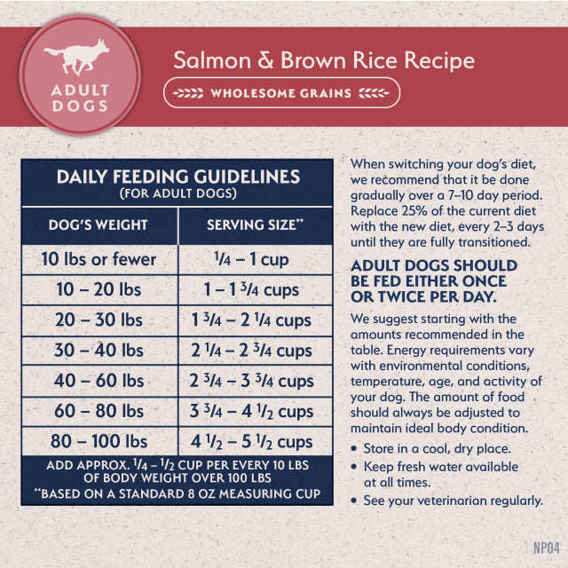 Natural Balance Pet Foods Limited Ingredient Dry Dog Food Salmon & Brown Rice 4lb