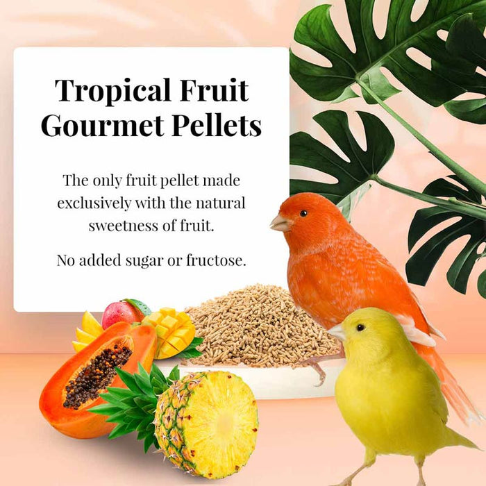 Lafeber Company Tropical Fruit Gourmet Pellets Canary Bird Food 1.25lb