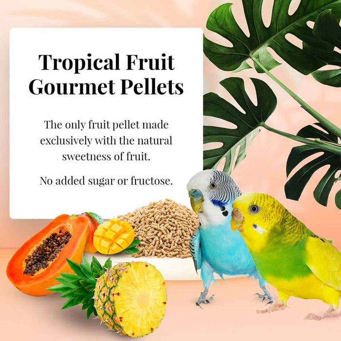 Lafeber Company Tropical Fruit Gourmet Pellets Parakeet Bird Food 1.25lb