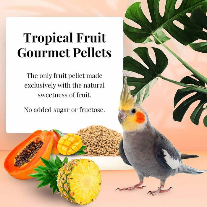 Lafeber Company Tropical Fruit Gourmet Pellets Cockatiel Bird Food 1.25lb