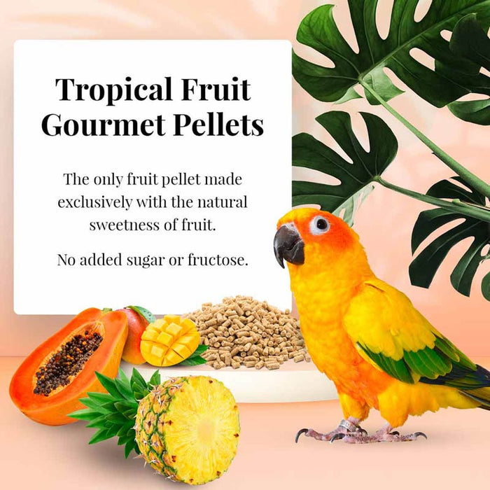 Lafeber Company Tropical Fruit Gourmet Pellets Conure Bird Food 1.25lb